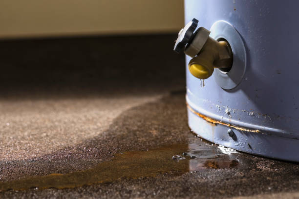 Best Emergency water extraction  in Farmersville, CA
