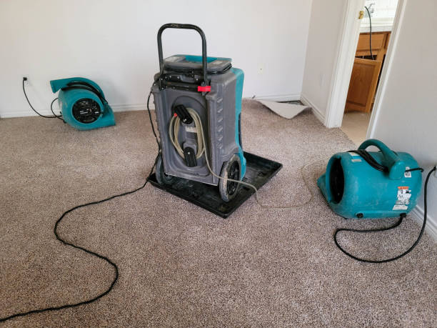 Best Carpet water damage restoration  in Farmersville, CA