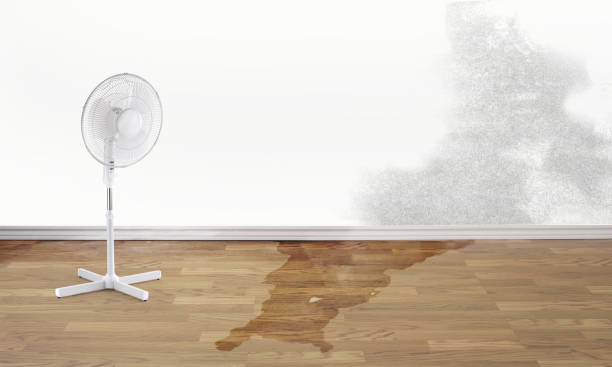 Best Water damage restoration services  in Farmersville, CA