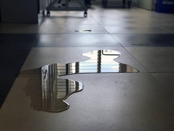 Best 24/7 water damage repair  in Farmersville, CA