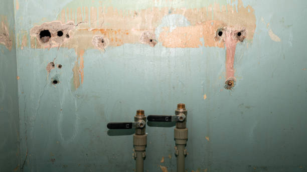Best Professional water damage repair  in Farmersville, CA
