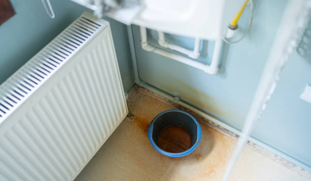 Best Flood damage cleanup  in Farmersville, CA