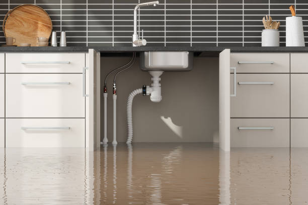 Best Water damage restoration near me  in Farmersville, CA